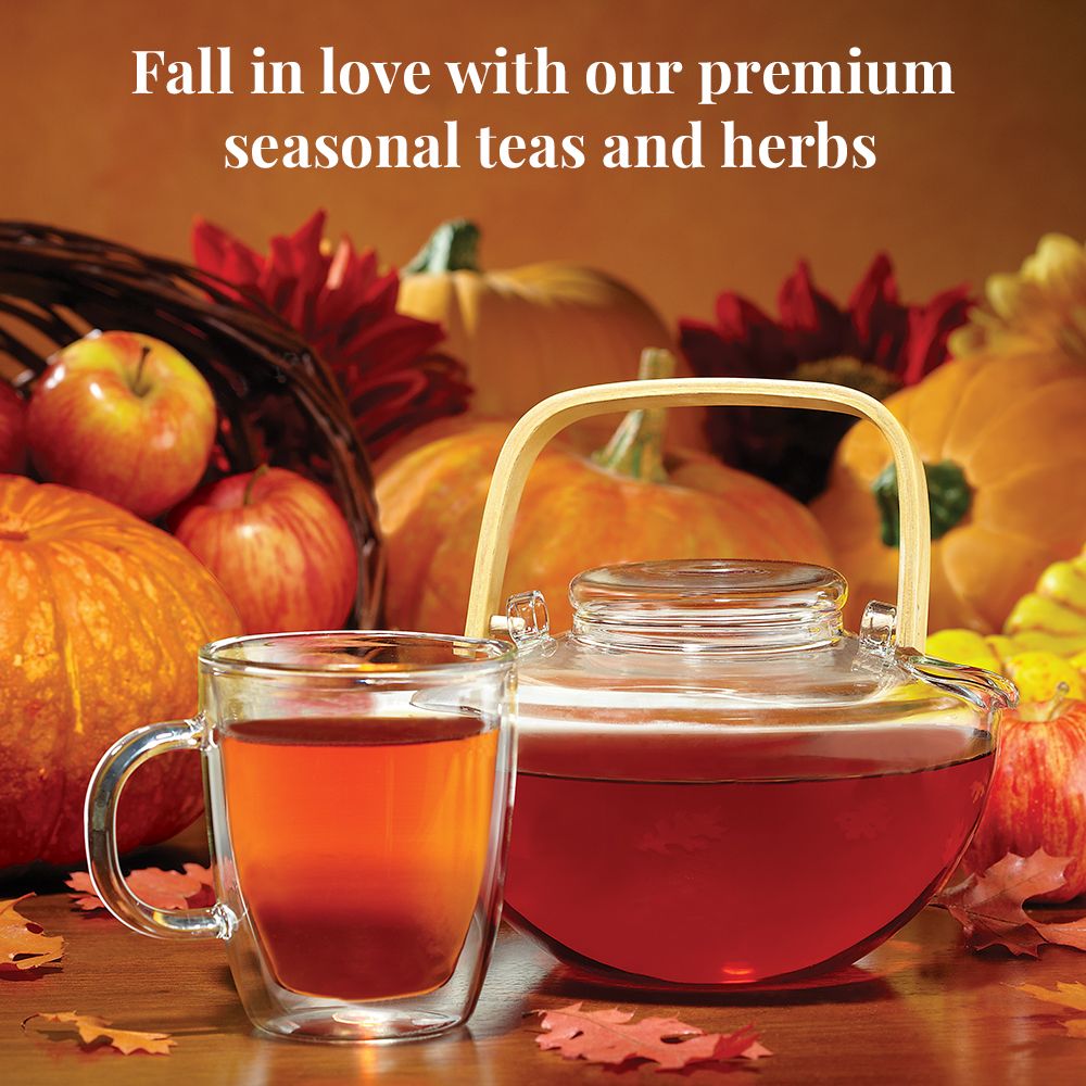 Pumpkin Spice Black Tea Bags