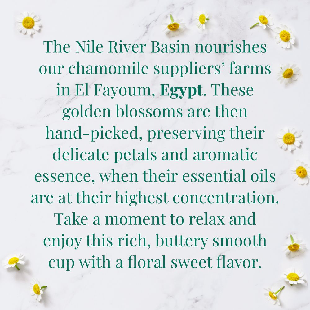 Organic Egyptian Chamomile SuperHerb® Herbs of Origin Tea Bags Tea Bags Bulk