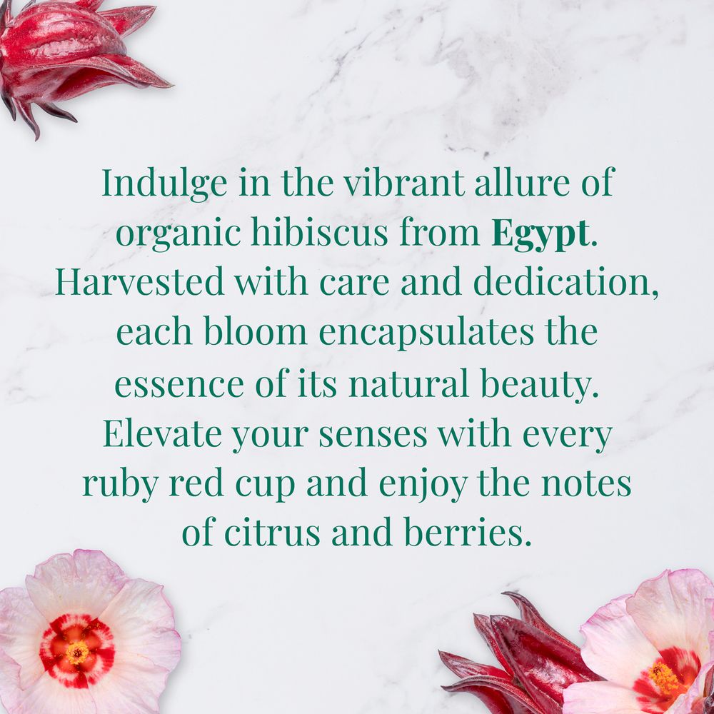 Organic Egyptian Hibiscus SuperHerb® Herbs of Origin Tea Bags