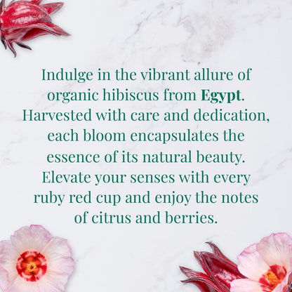 Organic Egyptian Hibiscus SuperHerb® Herbs of Origin Tea Bags