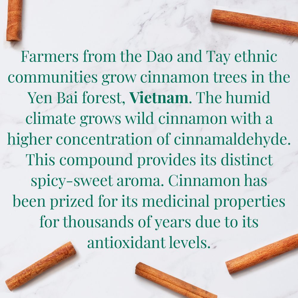 Organic Vietnamese Cinnamon SuperHerb® Herbs of Origin Tea Bags