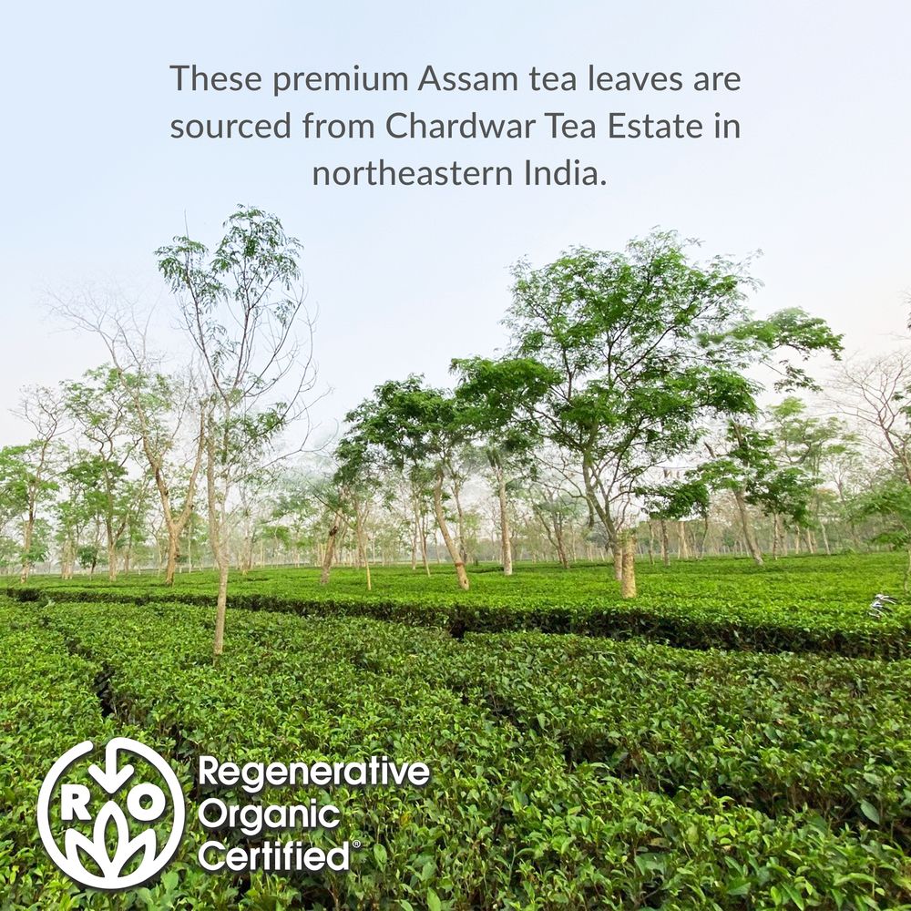 Regenerative Organic Certified® Assam Black Tea Bags